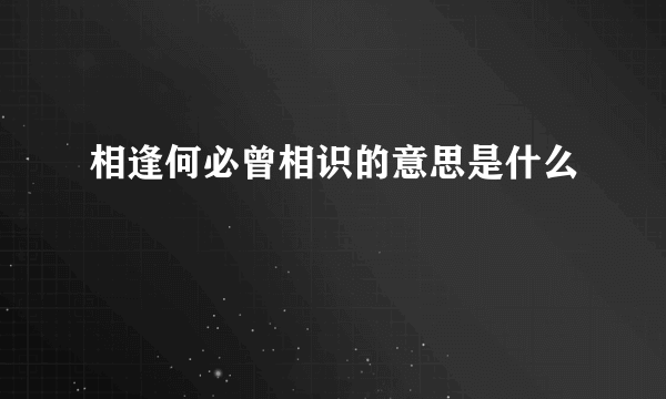 相逢何必曾相识的意思是什么