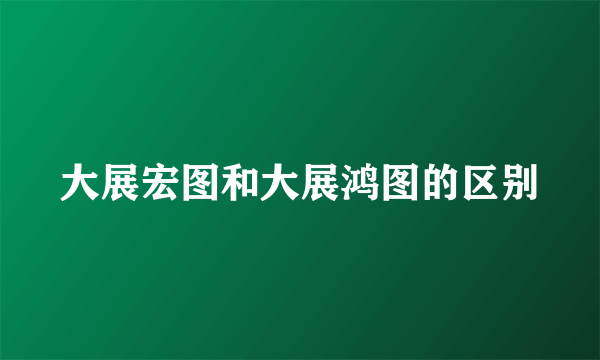 大展宏图和大展鸿图的区别