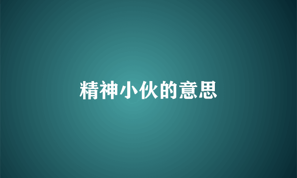 精神小伙的意思