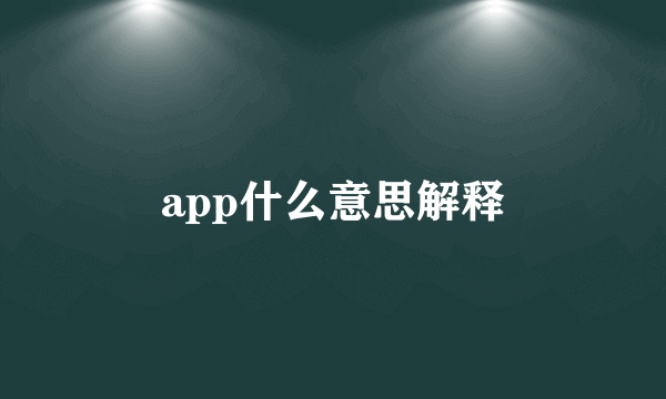app什么意思解释