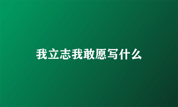 我立志我敢愿写什么