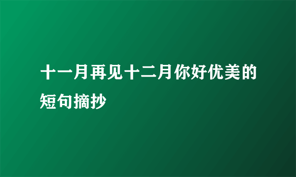 十一月再见十二月你好优美的短句摘抄
