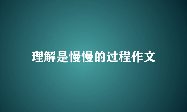 理解是慢慢的过程作文