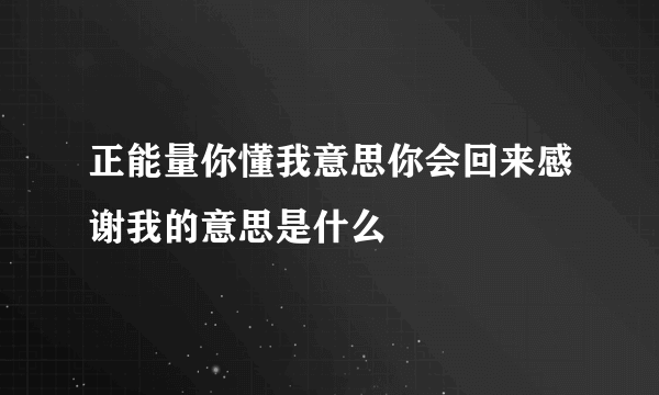 正能量你懂我意思你会回来感谢我的意思是什么