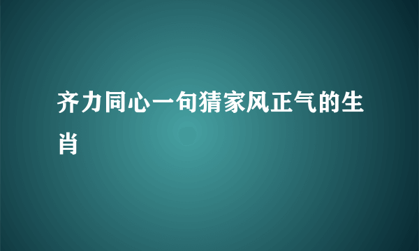 齐力同心一句猜家风正气的生肖