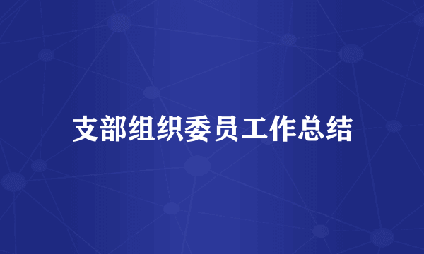 支部组织委员工作总结