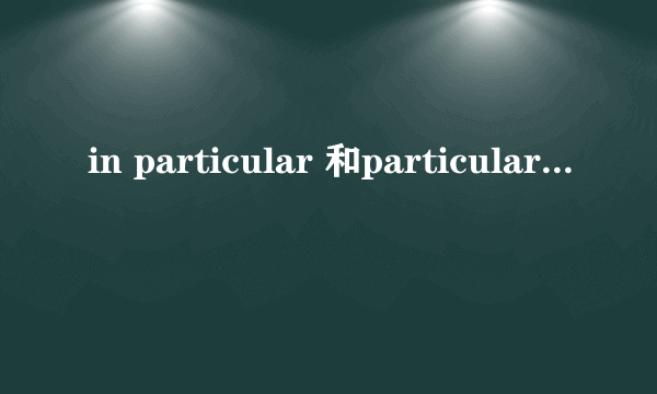 in particular 和particularly区别