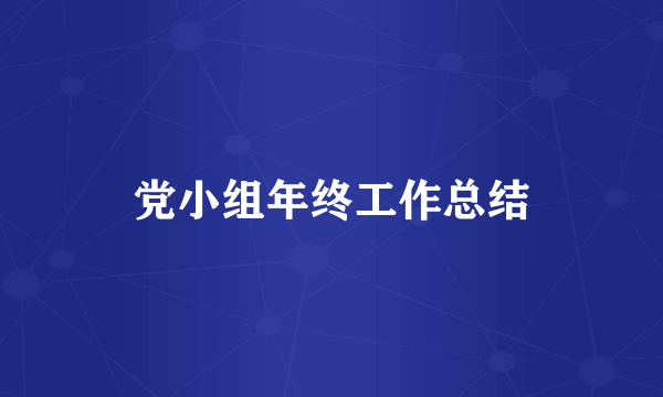 党小组年终工作总结