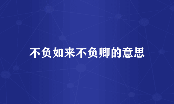 不负如来不负卿的意思