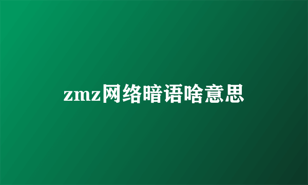 zmz网络暗语啥意思