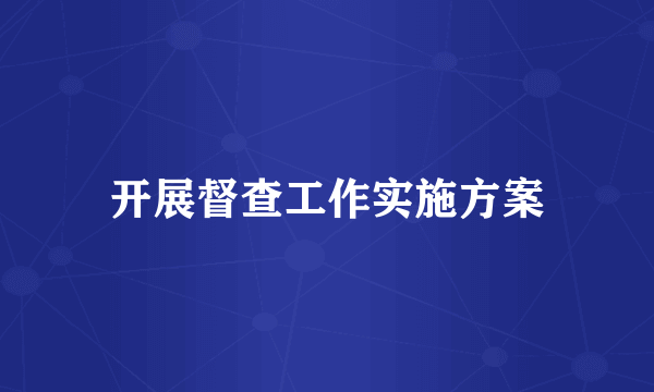 开展督查工作实施方案