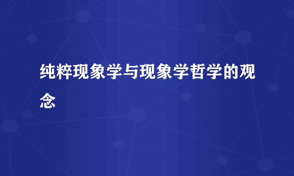 纯粹现象学与现象学哲学的观念