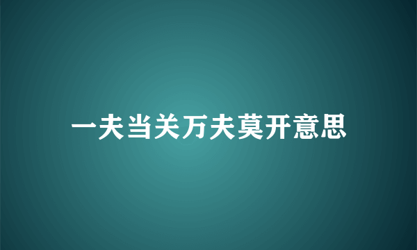一夫当关万夫莫开意思