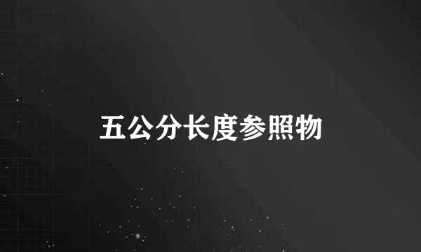 五公分长度参照物