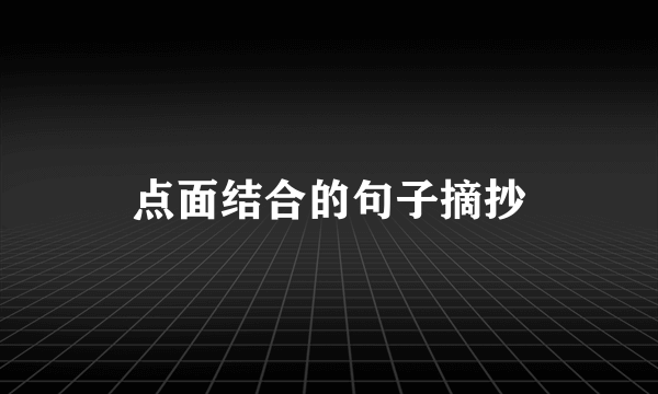 点面结合的句子摘抄