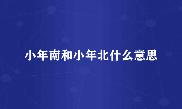 小年南和小年北什么意思