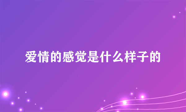 爱情的感觉是什么样子的