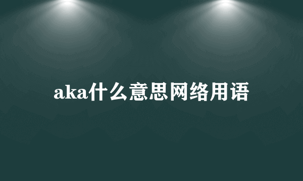 aka什么意思网络用语