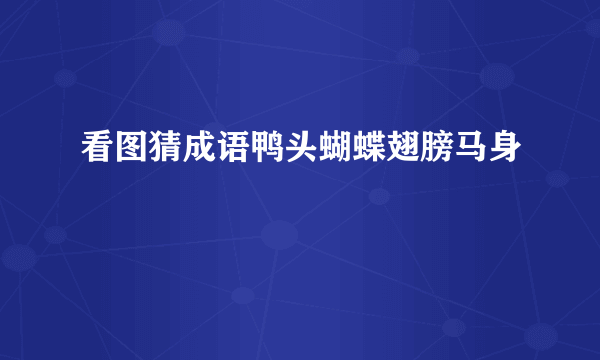 看图猜成语鸭头蝴蝶翅膀马身