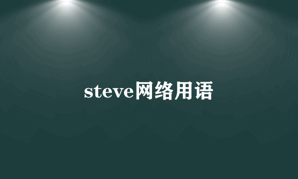 steve网络用语