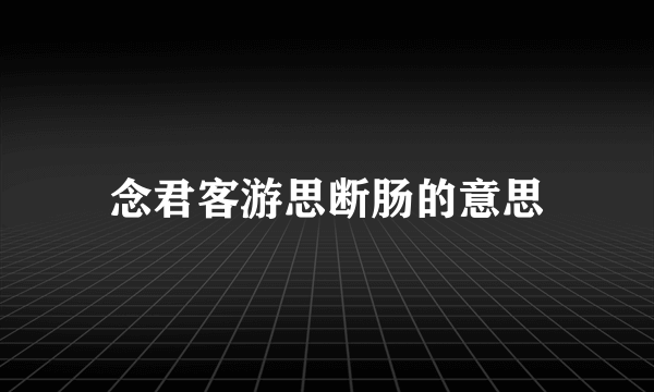 念君客游思断肠的意思