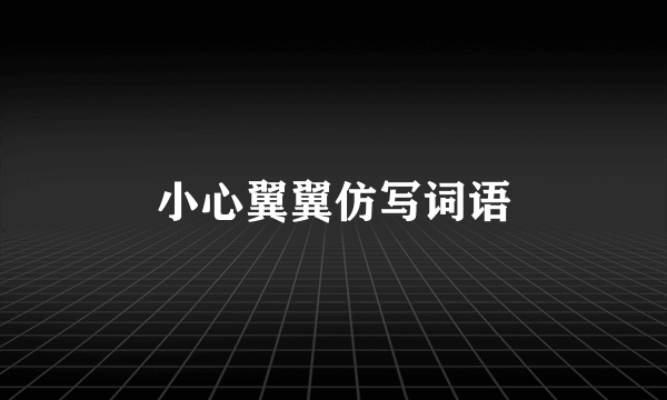 小心翼翼仿写词语