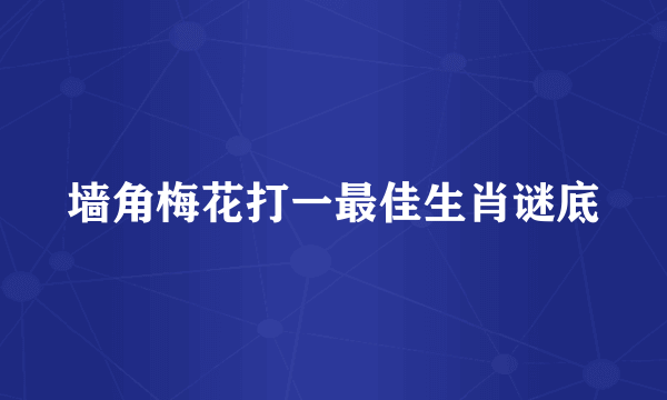 墙角梅花打一最佳生肖谜底
