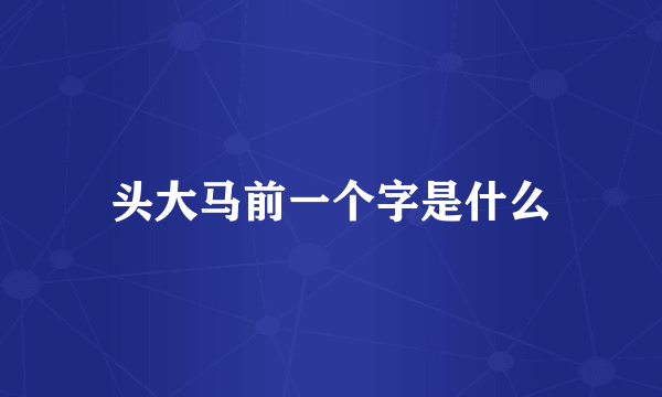 头大马前一个字是什么