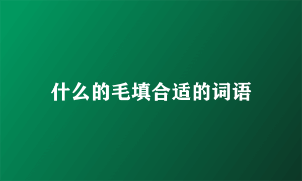 什么的毛填合适的词语