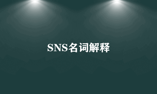 SNS名词解释