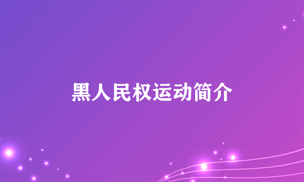 黑人民权运动简介