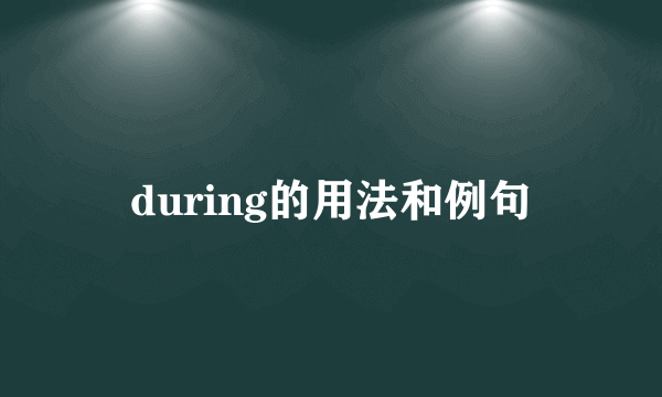 during的用法和例句