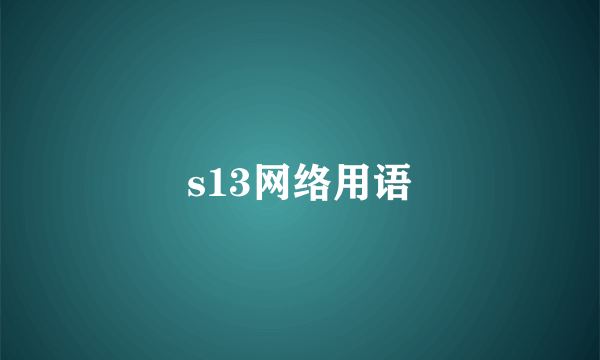 s13网络用语