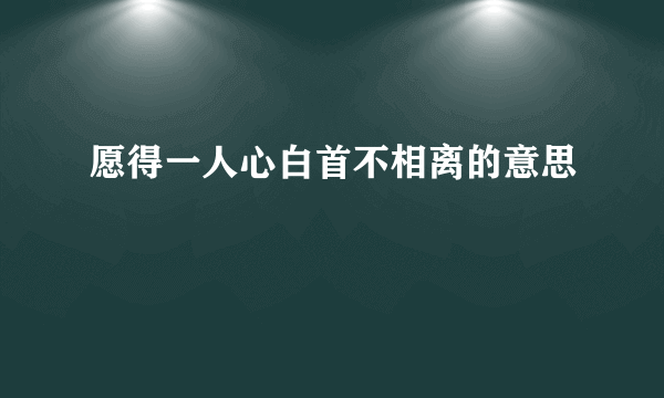 愿得一人心白首不相离的意思
