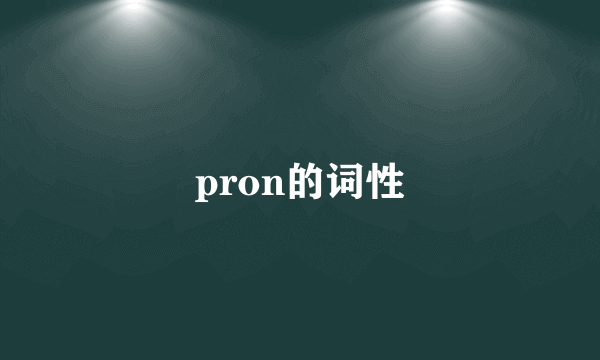 pron的词性