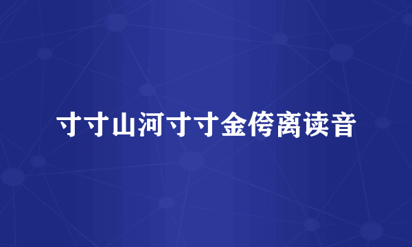 寸寸山河寸寸金侉离读音