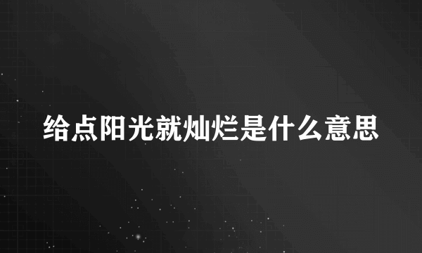 给点阳光就灿烂是什么意思