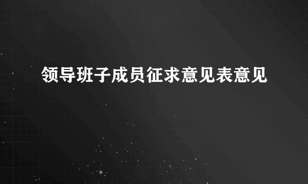 领导班子成员征求意见表意见