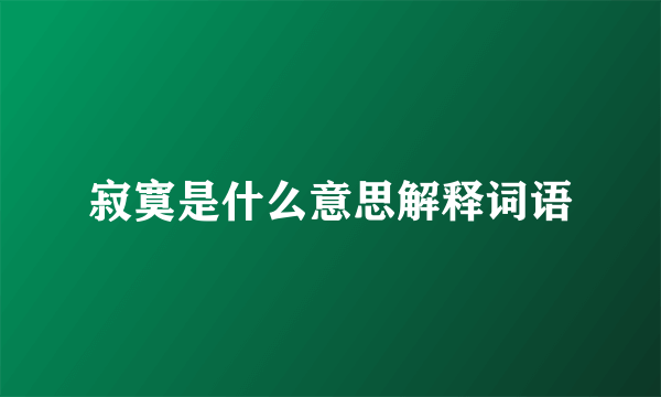 寂寞是什么意思解释词语
