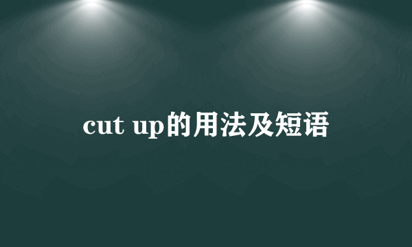 cut up的用法及短语