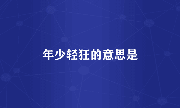 年少轻狂的意思是