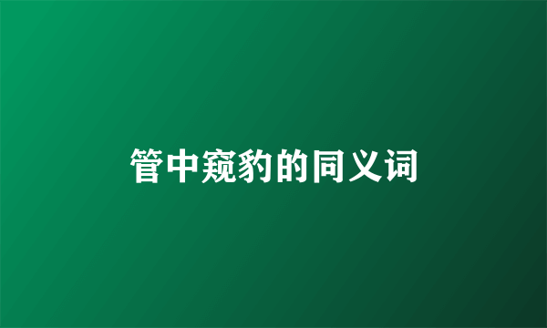 管中窥豹的同义词