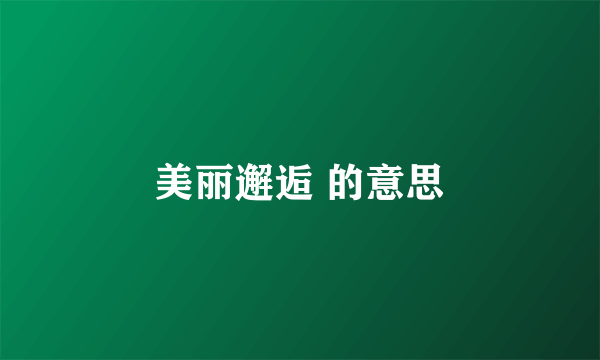 美丽邂逅 的意思