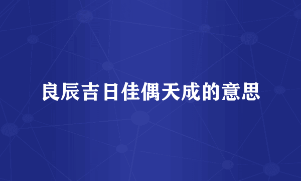 良辰吉日佳偶天成的意思