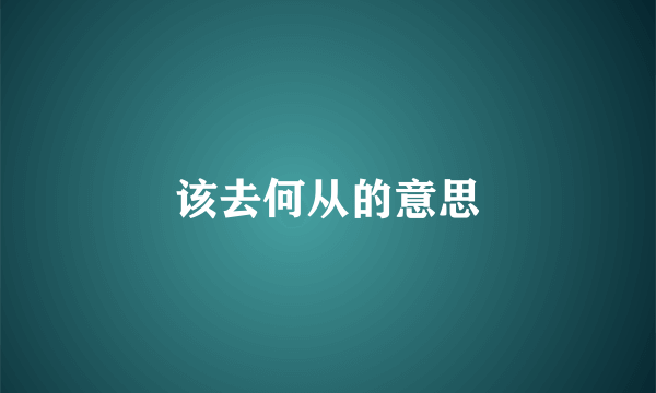 该去何从的意思