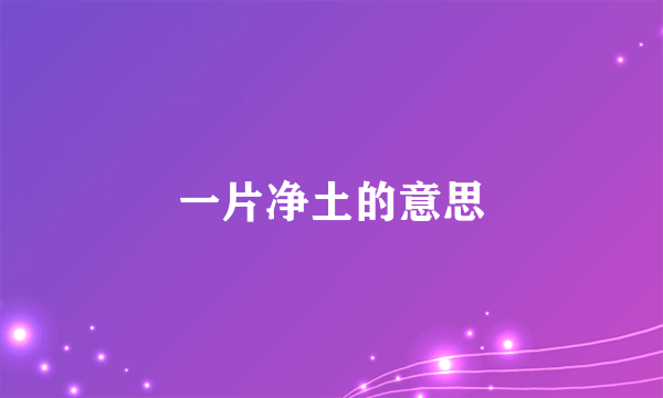 一片净土的意思