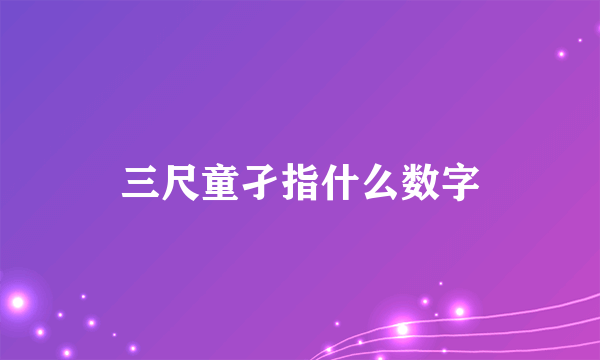 三尺童孑指什么数字