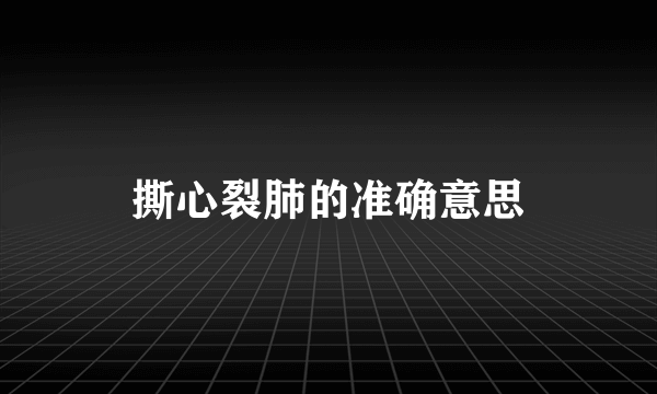 撕心裂肺的准确意思