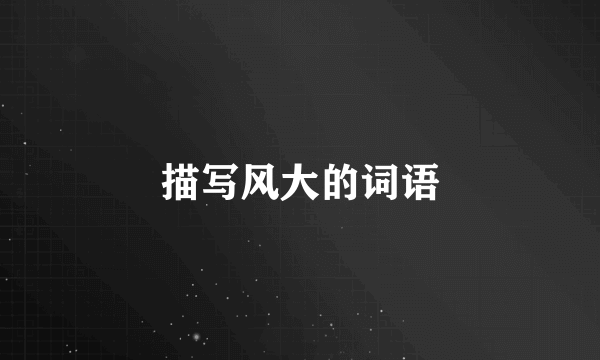 描写风大的词语
