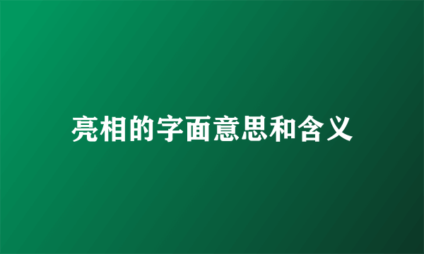 亮相的字面意思和含义
